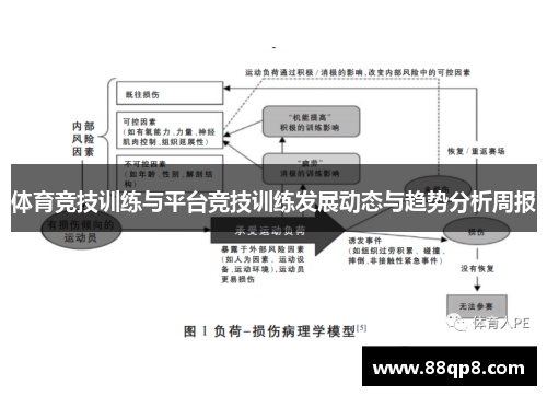 体育竞技训练与平台竞技训练发展动态与趋势分析周报
